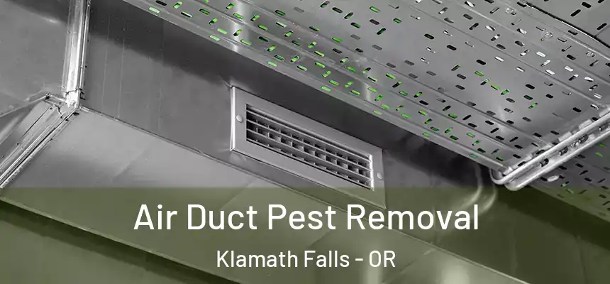 Air Duct Pest Removal Klamath Falls - OR