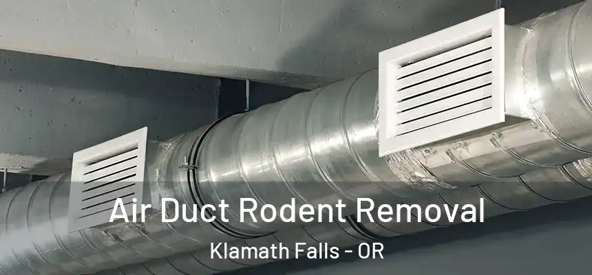 Air Duct Rodent Removal Klamath Falls - OR