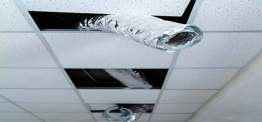 Affordable HVAC Sanitizing After Pest Removal in Klamath Falls