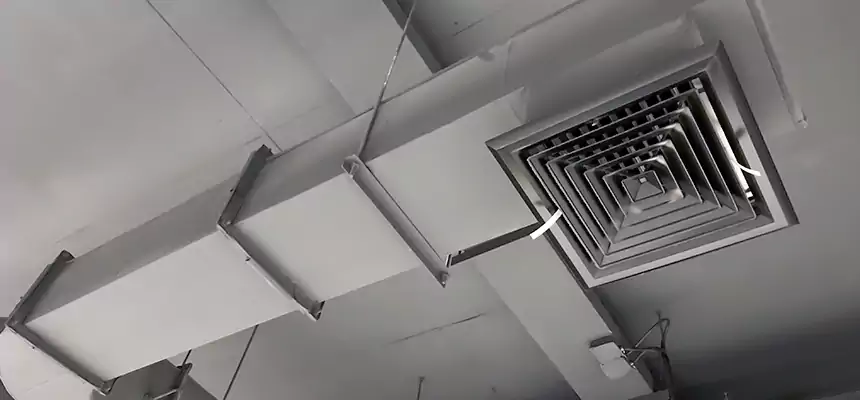 Our Pest Removal From Ducts Services in Klamath Falls, OR