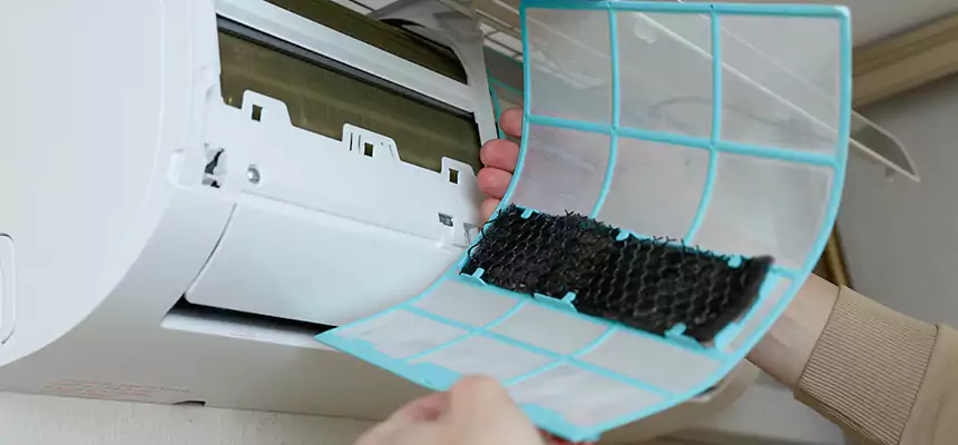 Gentle Ductwork Odor-Control Pet Dander Duct Cleaning in Klamath Falls, OR