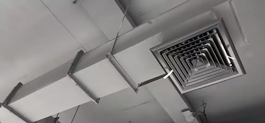 Our Rodent Droppings In Vents Services in Klamath Falls, OR