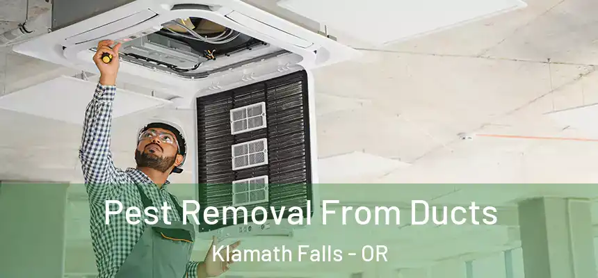  Pest Removal From Ducts Klamath Falls - OR