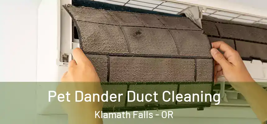 Pet Dander Duct Cleaning Klamath Falls - OR