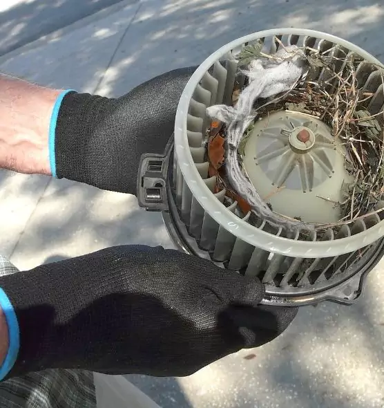 About Air Duct Mice Removal in Klamath Falls, OR