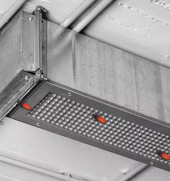 Affordable Insect Removal from Air Ducts in Klamath Falls, OR